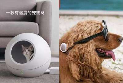 趣宅智能寵物生態 鏟屎官的全屋智能家居福音